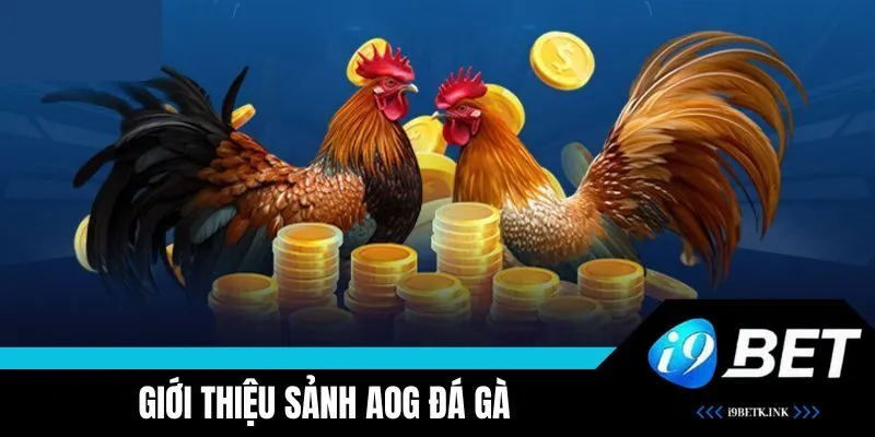 Tìm hiểu AOG Đá Gà