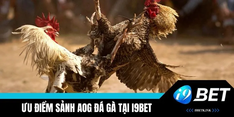 Ưu điểm vượt trội của sảnh