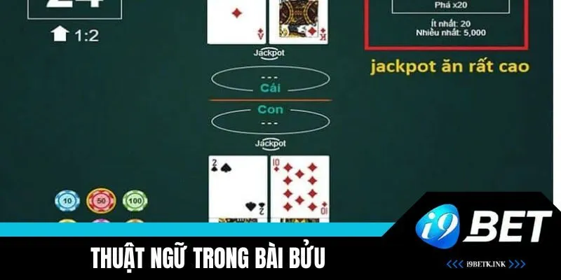 Thuật ngữ quan trọng cần biết