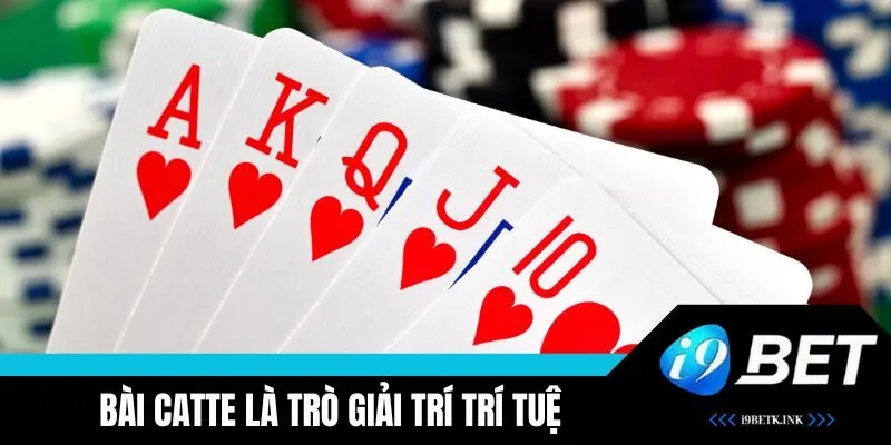 Bài Catte là trò giải trí trí tuệ và đầy kịch tính