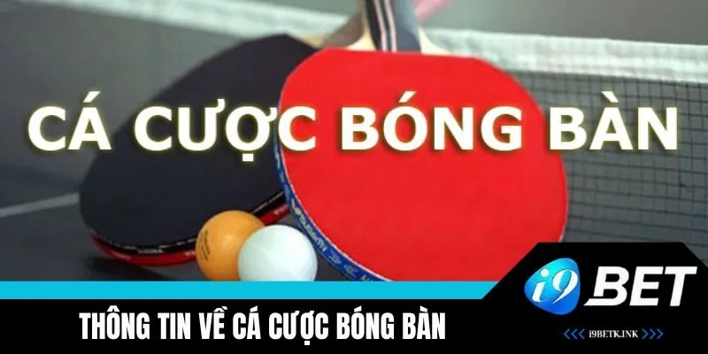 Cá Cược Bóng Bàn