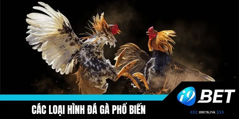 Các loại hình độc đáo 