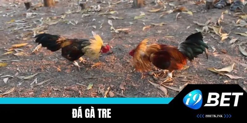 Đá Gà Tre