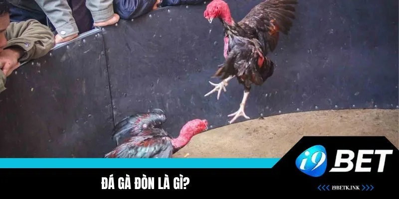 Tìm hiểu sơ lược về đá gà đòn đình đám