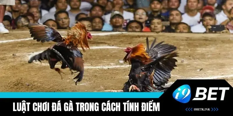 Luật chơi đá kê trong cách tính điểm