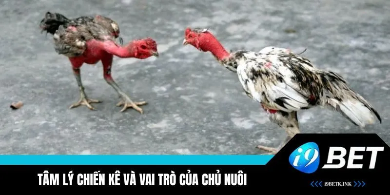 Yếu tố tâm lý sẽ ảnh hưởng một phần đến kết quả của các trận đấu