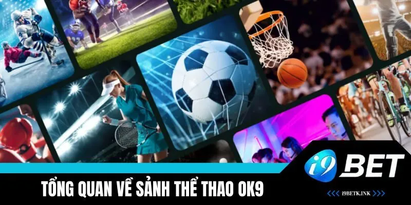 Tìm hiểu về sảnh OK9 Thể Thao hấp dẫn